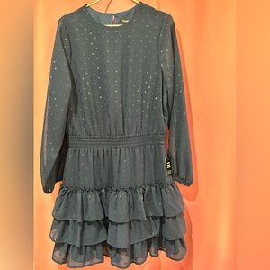 Navy blue Express long sleeve dress